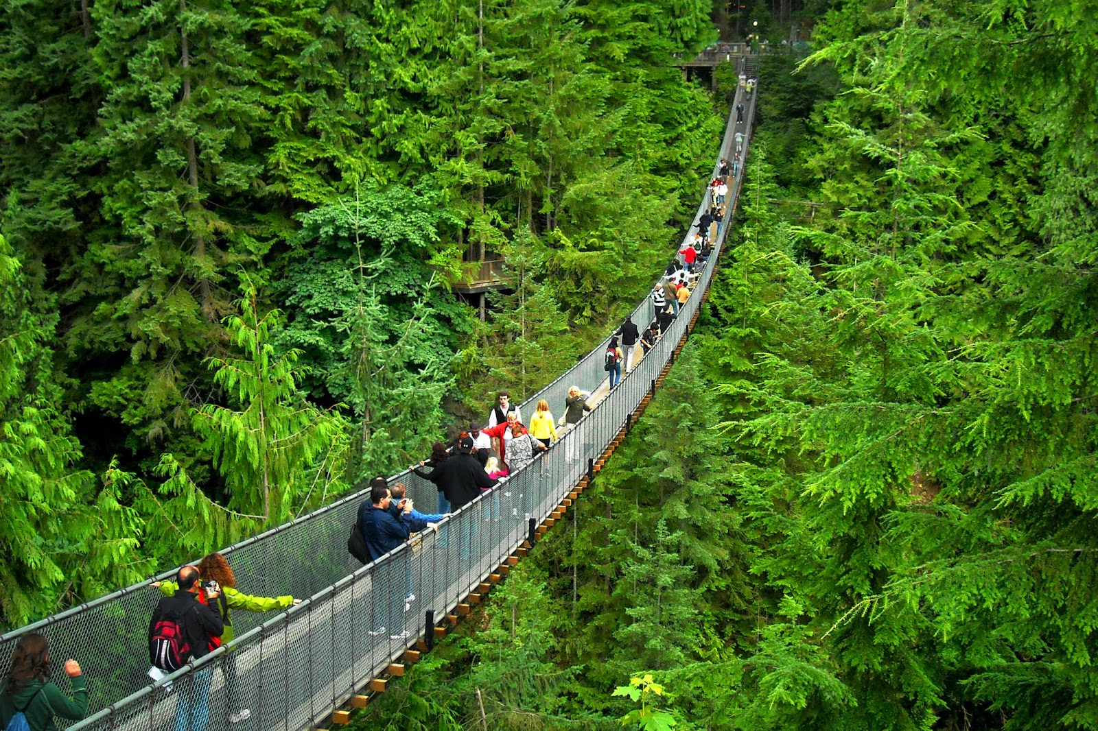 Capilano Suspension Bridge2