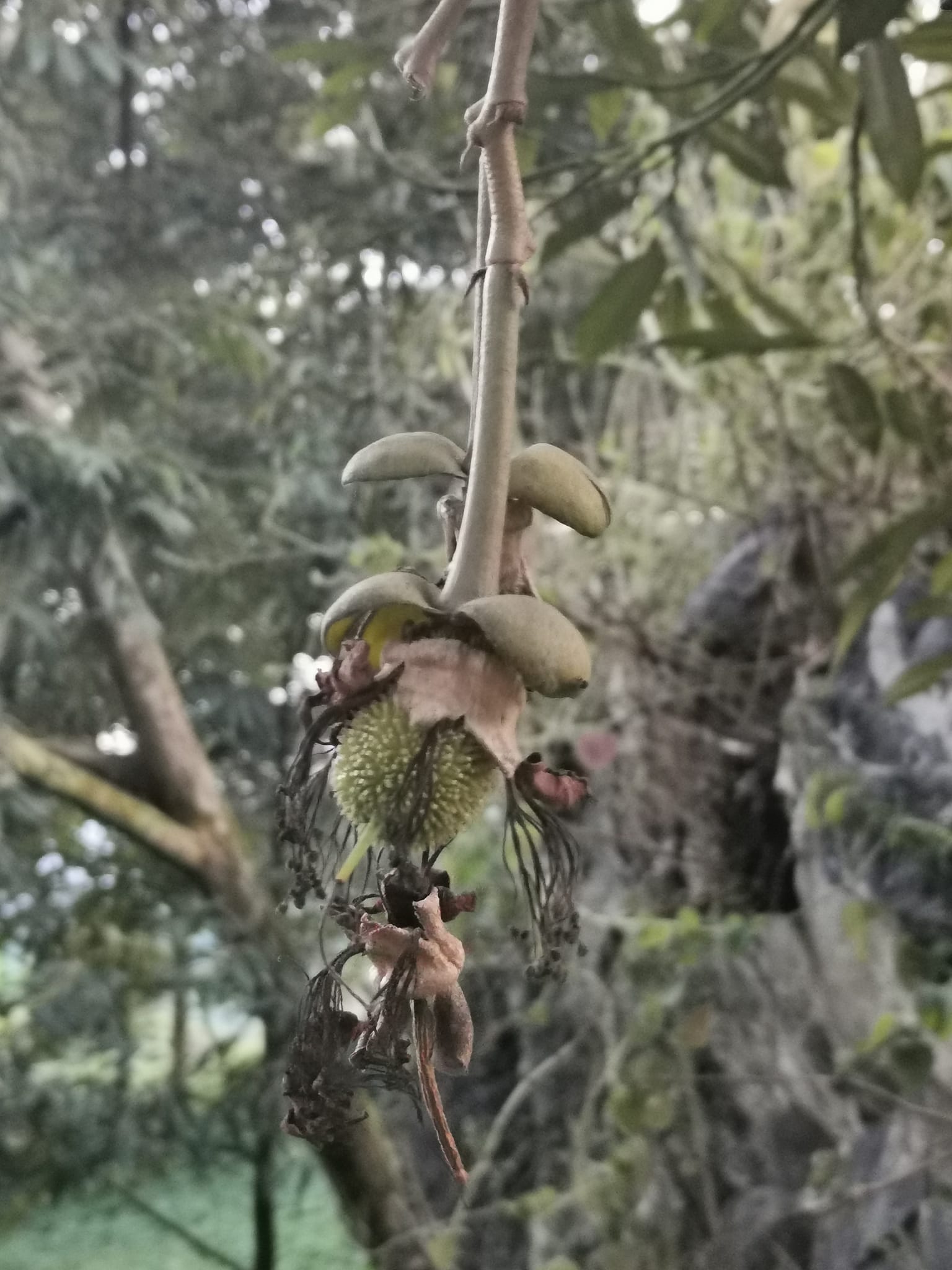 357028904_10158765560447257_8790118986048638537_n