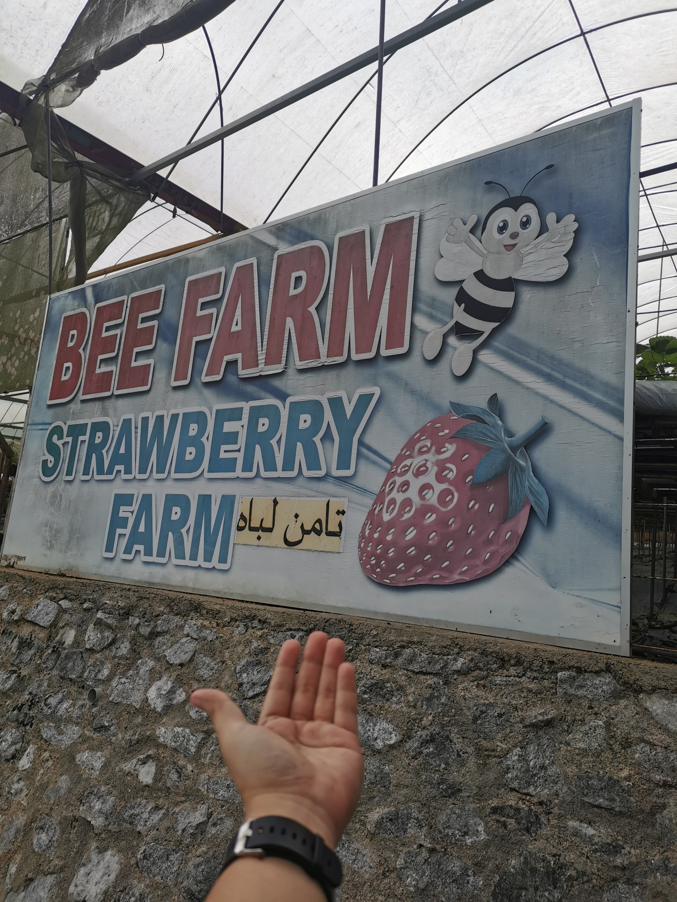 IMG_20230629_133426_resized_20230712_090908039