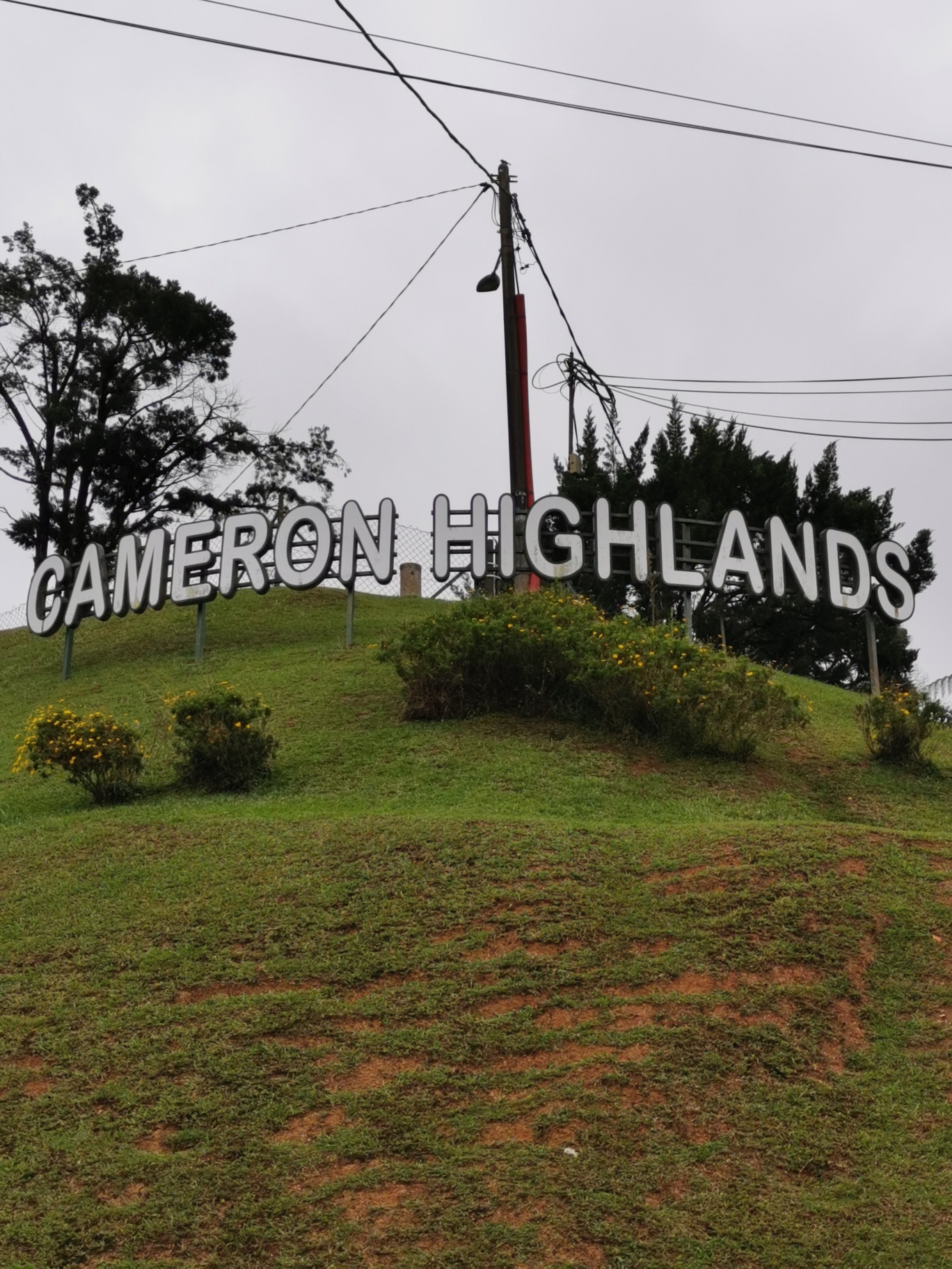 IMG_20230629_190607_resized_20230712_090515596