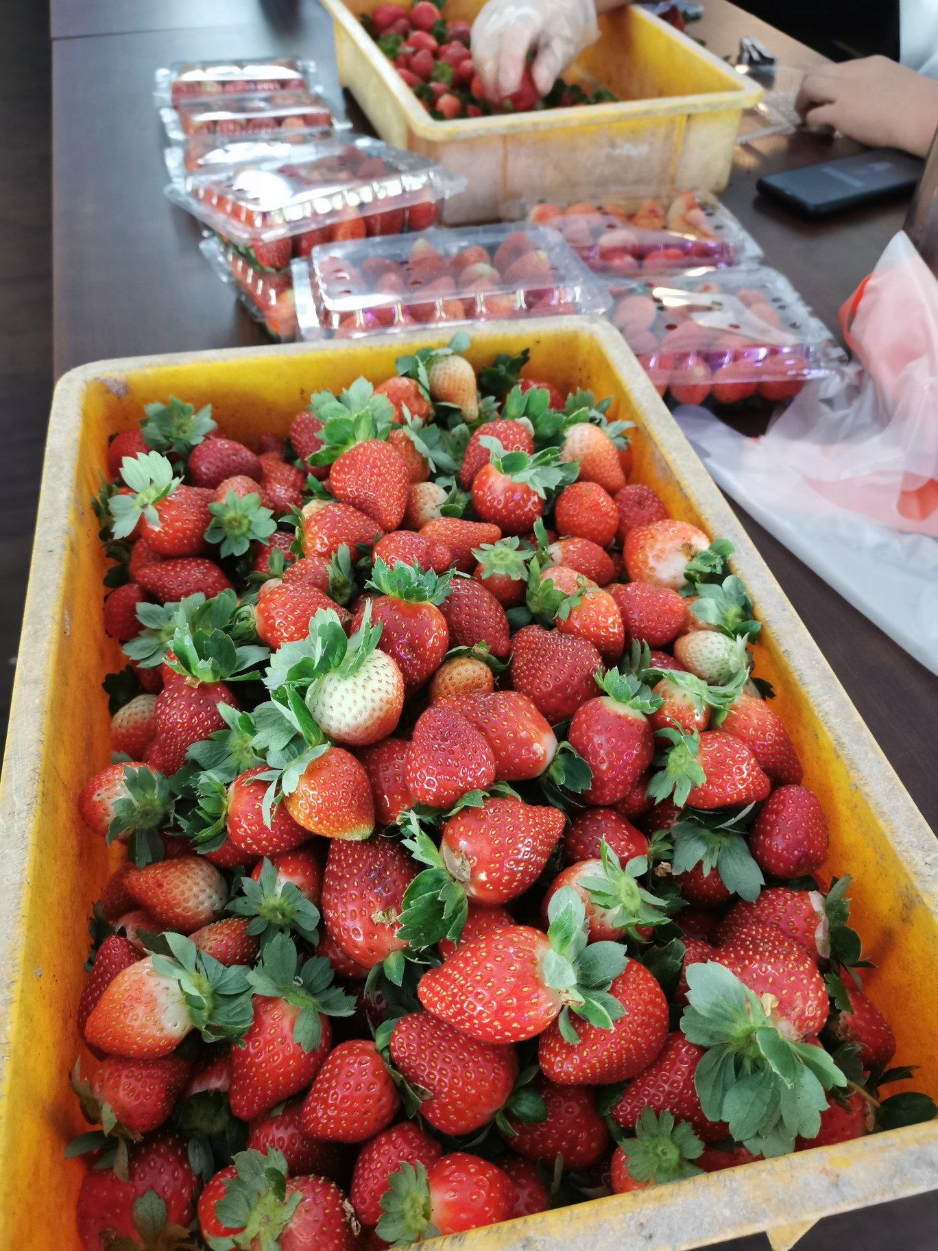 IMG_20230630_100844_resized_20230712_090516129