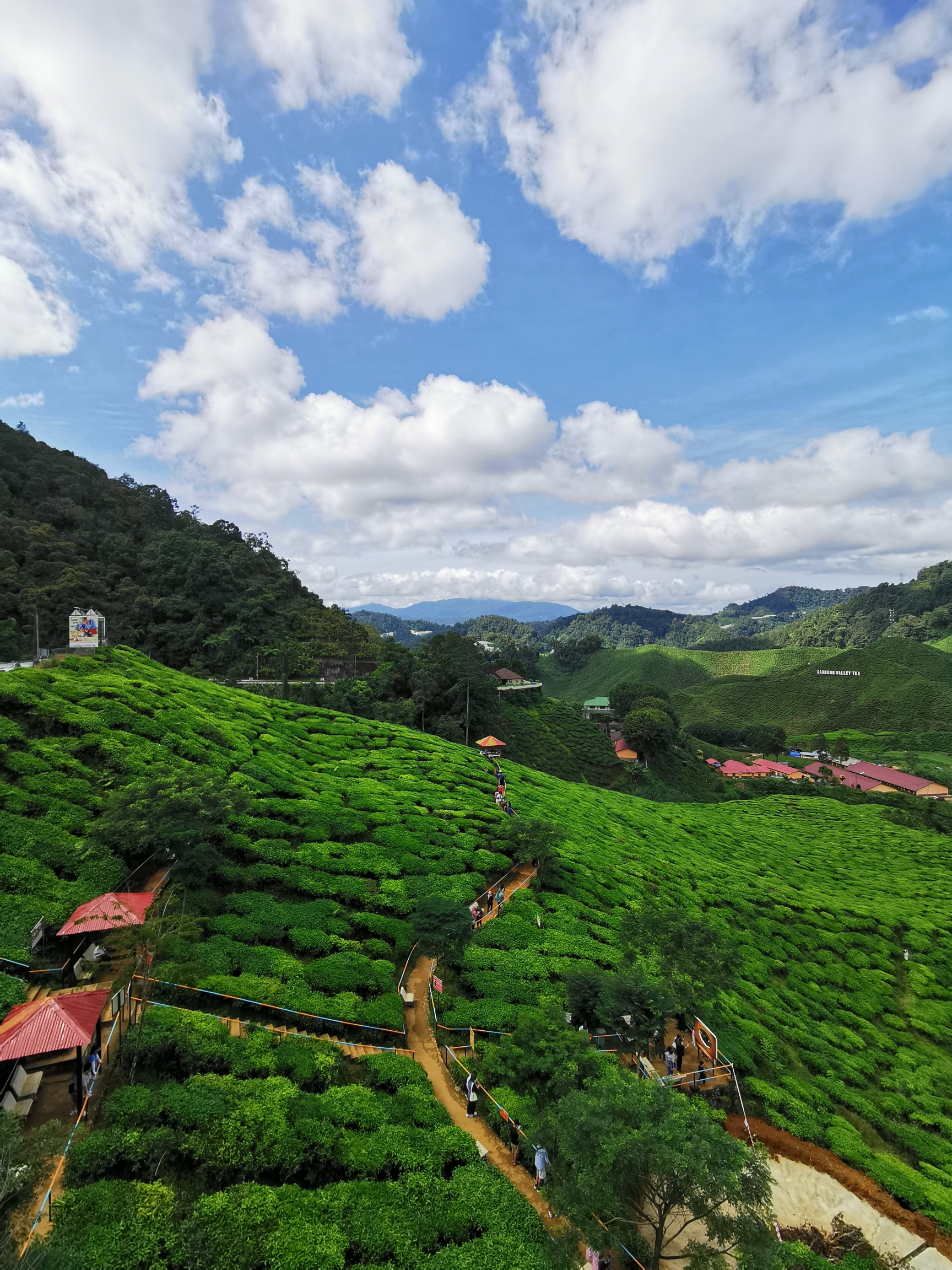 IMG_20230630_110622_resized_20230712_090515811