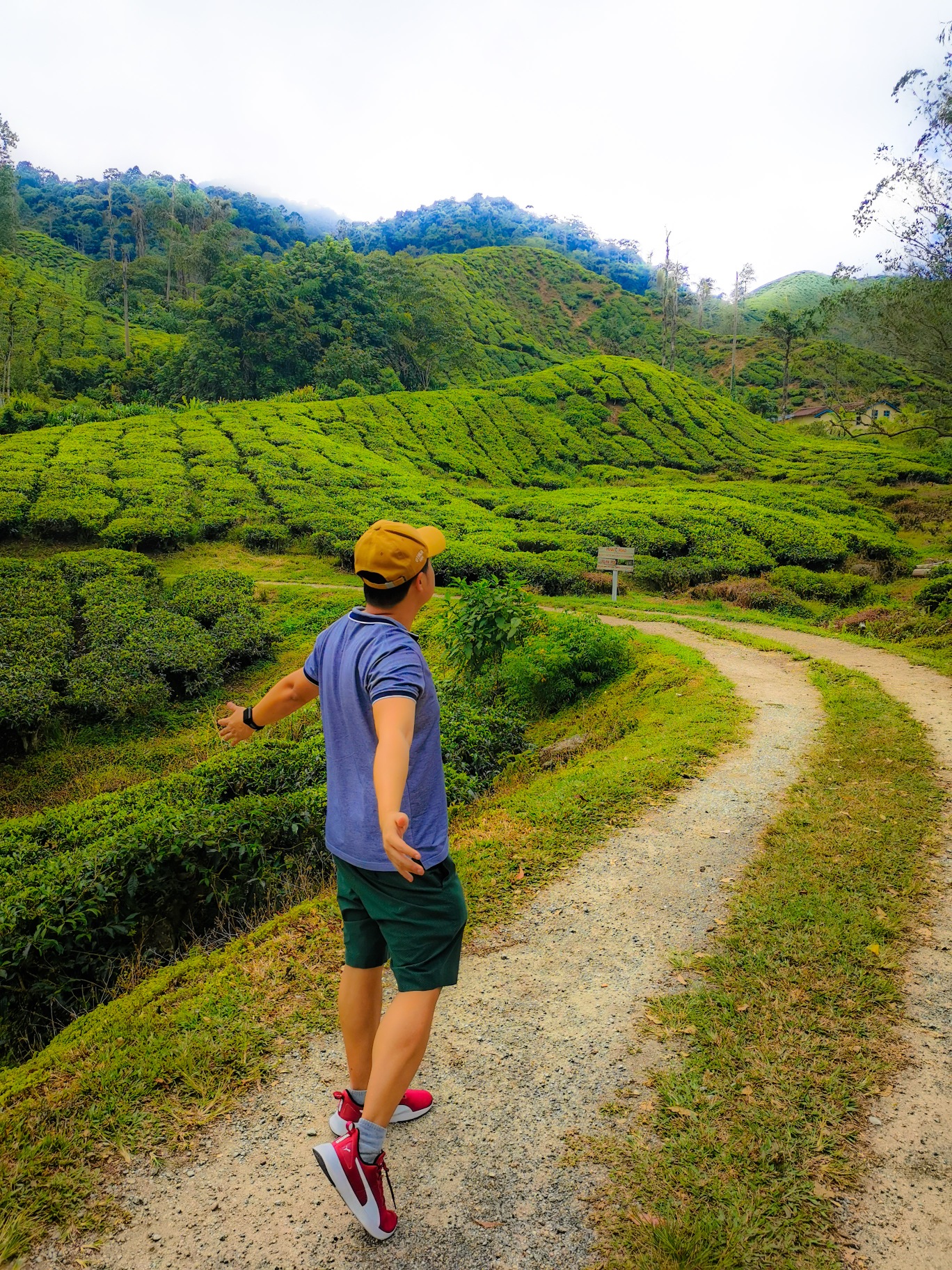 PSX_20230629_161303_resized_20230712_090907146