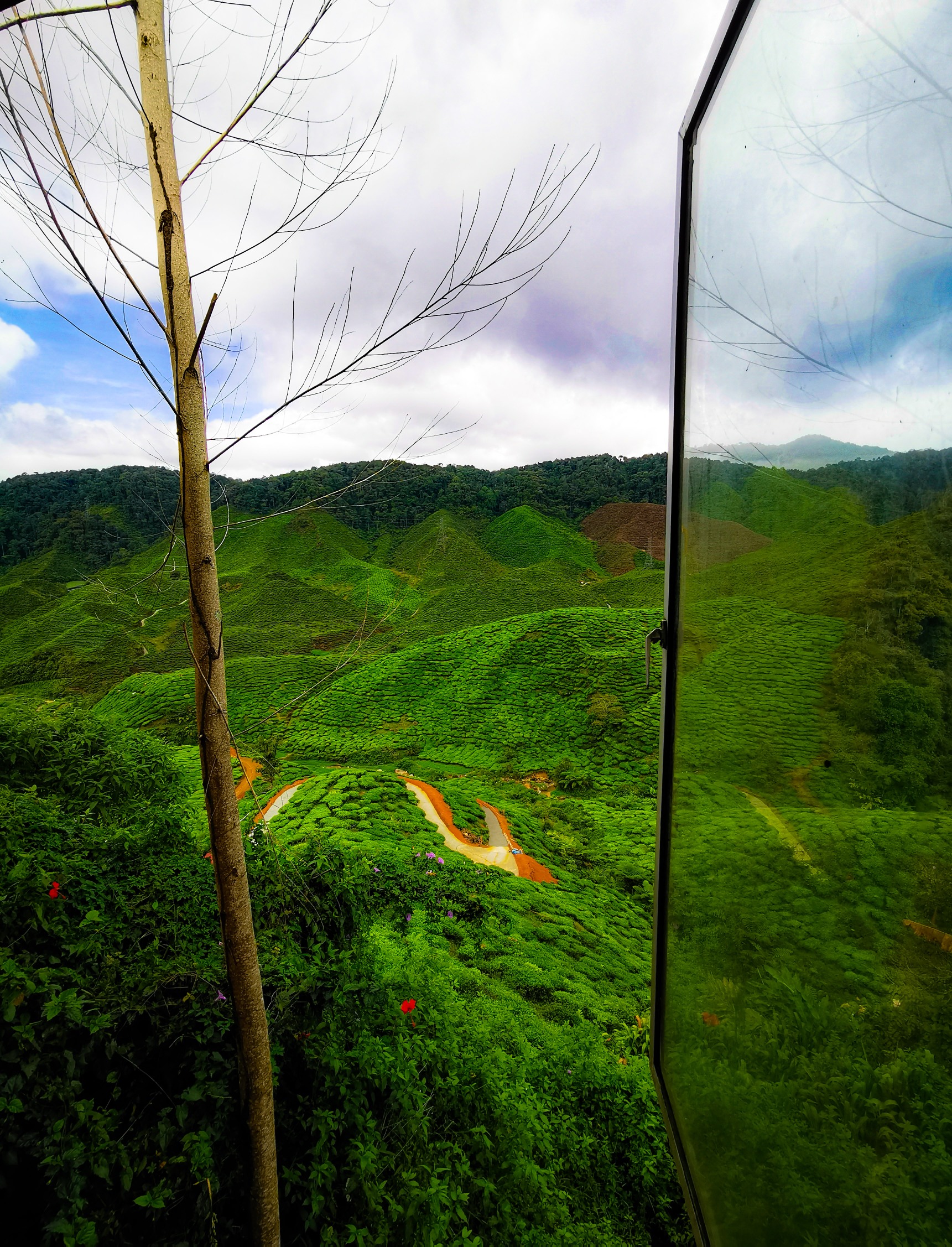 PSX_20230630_112316_resized_20230712_090515157