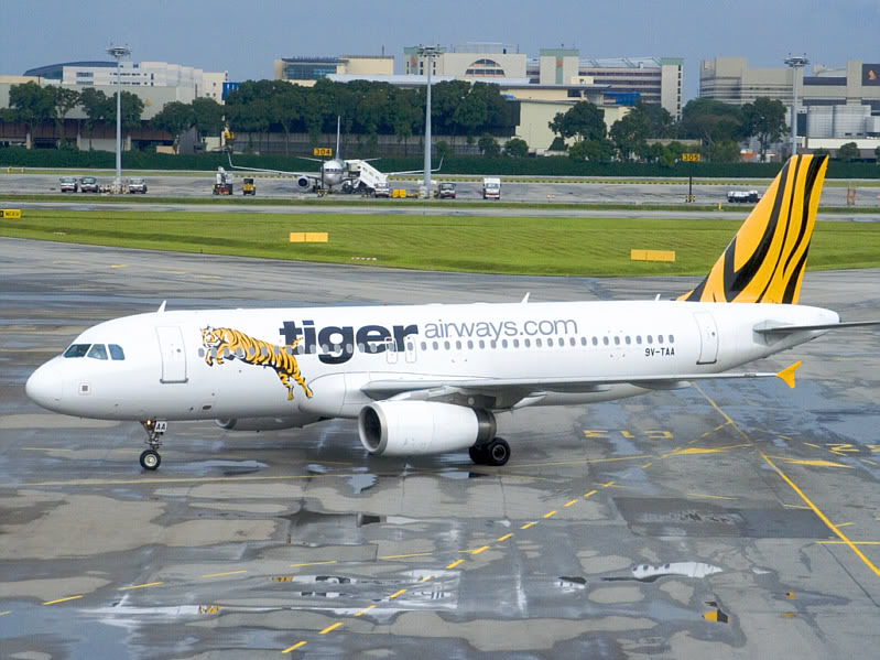 TigerAirways9V-TAA800